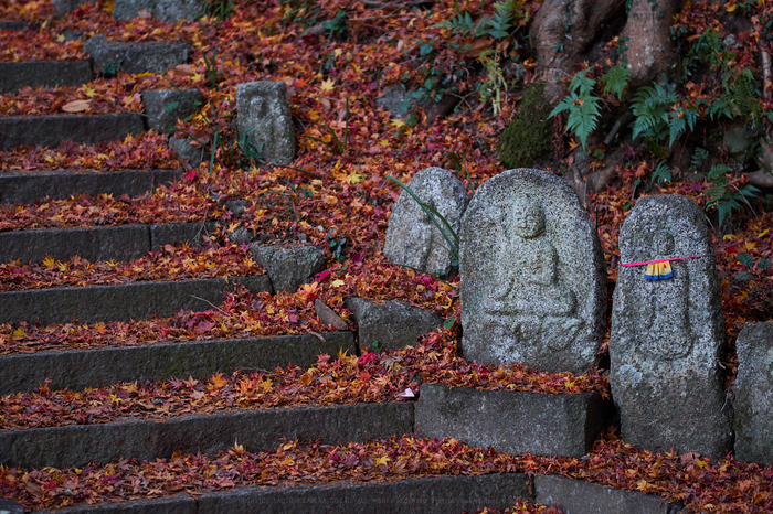 30％OFFアウトレットSALE SIGMA E-M5 Mark 30mm （OM-D DNを撮り比べて